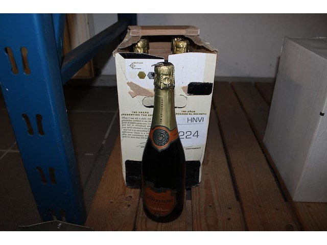 Vijf flessen cava vallformosa. - afbeelding 1 van  2