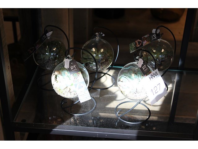 Vijf hangvaasjes hoogte 20 cm. - afbeelding 1 van  2