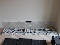 Vijf koppelbare organizers festool gevuld met diverse bevestigingsmaterialen. - afbeelding 1 van  7