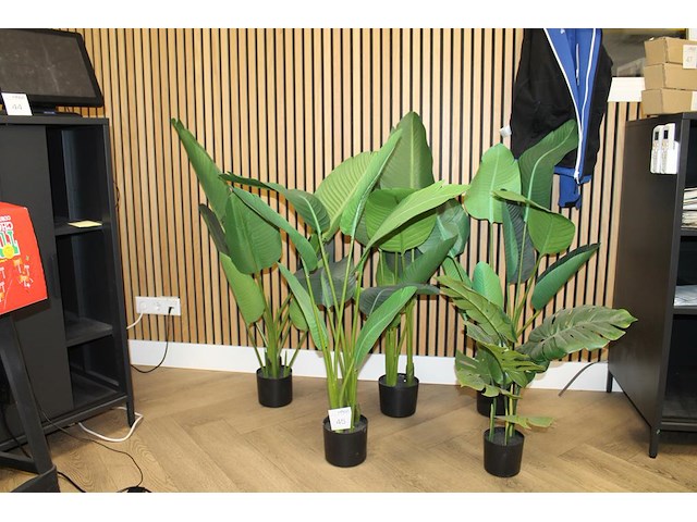 Vijf kunstplanten. - afbeelding 1 van  1