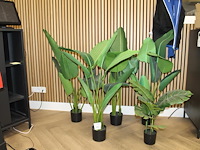 Vijf kunstplanten. - afbeelding 1 van  1