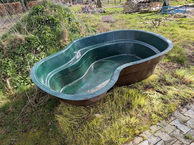 Vijverbak - afbeelding 1 van  8