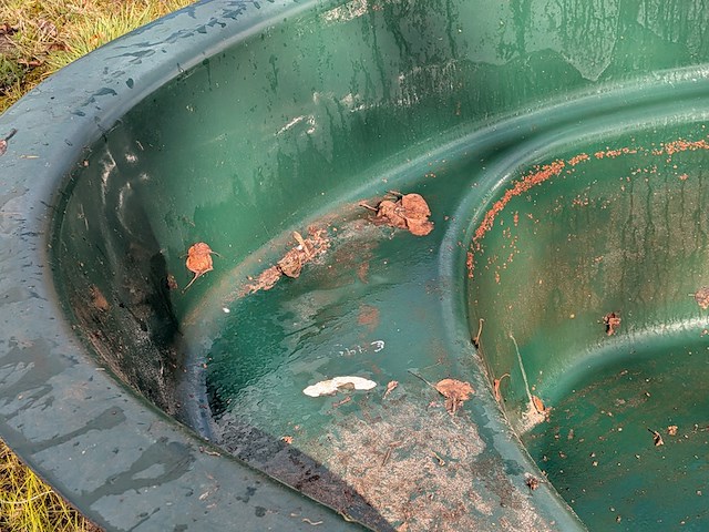 Vijverbak - afbeelding 5 van  8