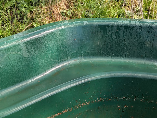 Vijverbak - afbeelding 6 van  8