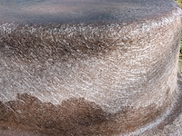 Vijverbak - afbeelding 8 van  8