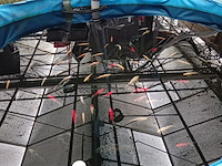 Vijverinstallatie inclusief vissen, o.a. aquaforte - afbeelding 1 van  17