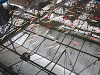 Vijverinstallatie inclusief vissen, o.a. aquaforte - afbeelding 11 van  17