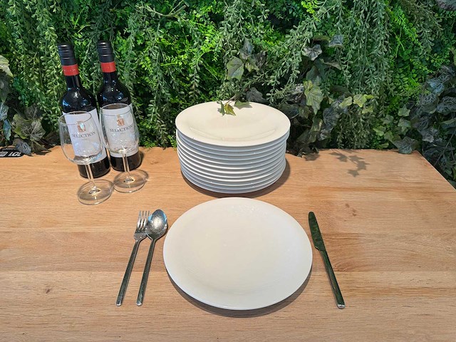 Villeroy & boch - dinerbord ø 27 cm (20x) - afbeelding 1 van  4