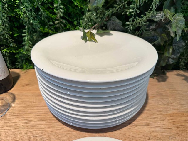 Villeroy & boch - dinerbord ø 27 cm (20x) - afbeelding 3 van  4