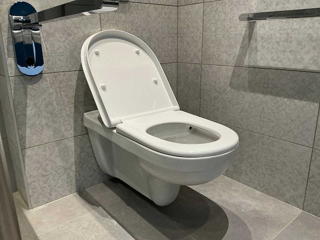 Villeroy & boch vicare vita mindervalide toiletopstelling - afbeelding 3 van  8