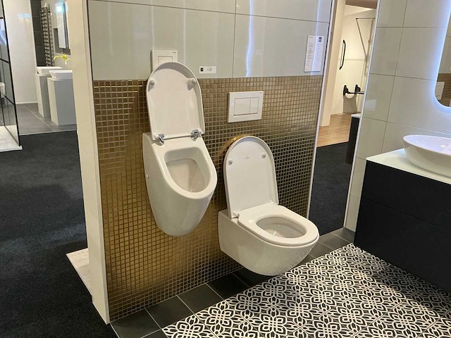 Villeroy&boch subway wandcloset en urinoir - afbeelding 1 van  9