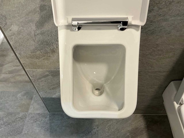 Villeroy&boch wandcloset en urinoir set - afbeelding 5 van  6