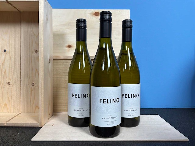 Viña cobos mendoza chardonnay witte wijn 2024 (20x) - afbeelding 1 van  2