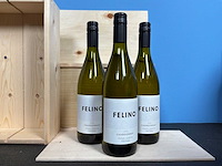 Viña cobos mendoza chardonnay witte wijn 2024 (20x) - afbeelding 1 van  2