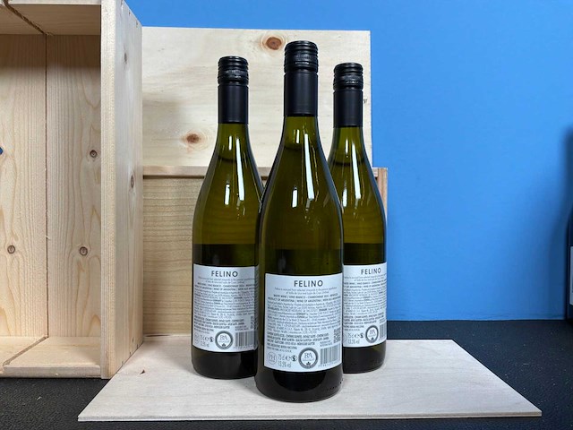 Viña cobos mendoza chardonnay witte wijn 2024 (20x) - afbeelding 2 van  2