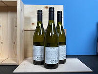 Viña cobos mendoza chardonnay witte wijn 2024 (20x) - afbeelding 2 van  2