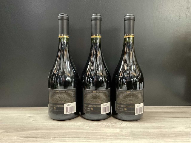 Vina leyda pinot noir lot21 2017 (3x) - afbeelding 2 van  4
