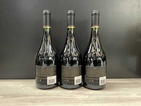 Vina leyda pinot noir lot21 2017 (3x) - afbeelding 2 van  4