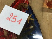 Vintage 4st nautisch hoogste:21 - afbeelding 4 van  4