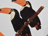 Vintage affiche zoo - afbeelding 2 van  6