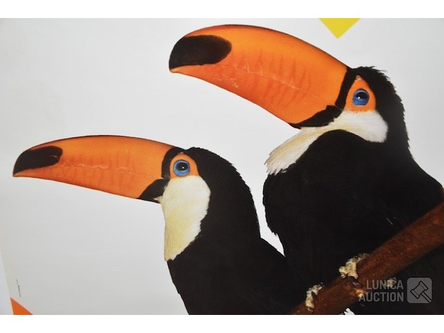 Vintage affiche zoo - afbeelding 6 van  6