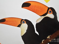 Vintage affiche zoo - afbeelding 6 van  6