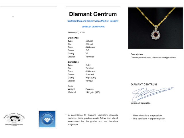 Vintage hanger met robijn en oud geslepen diamanten - afbeelding 3 van  7