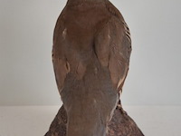 Vintage taxidermie - afbeelding 6 van  6