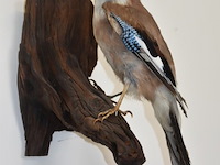 Vintage taxidermie - afbeelding 1 van  3