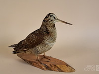 Vintage taxidermie - afbeelding 2 van  5