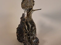 Vintage taxidermie - afbeelding 3 van  4