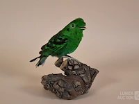 Vintage taxidermie - afbeelding 2 van  3
