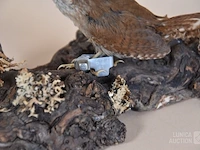 Vintage taxidermie - afbeelding 2 van  4