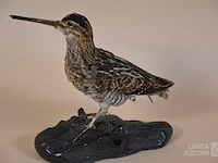 Vintage taxidermie - afbeelding 4 van  5