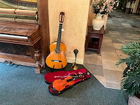 Viool en gitaar en toeter - afbeelding 2 van  7