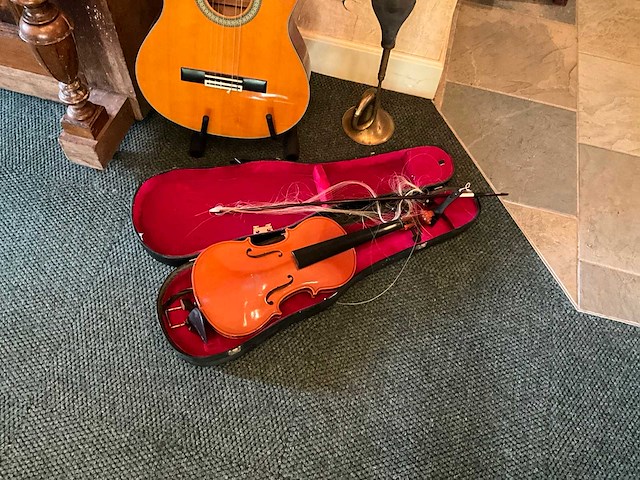Viool en gitaar en toeter - afbeelding 3 van  7