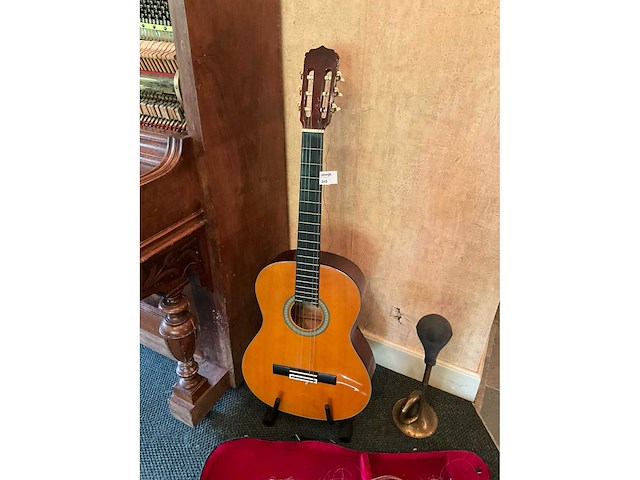 Viool en gitaar en toeter - afbeelding 5 van  7