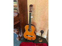 Viool en gitaar en toeter - afbeelding 5 van  7