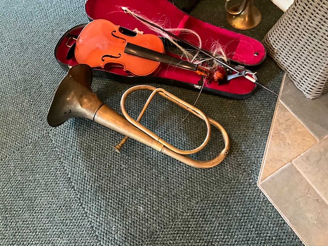 Viool en gitaar en toeter - afbeelding 6 van  7