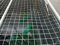 Vis tank - afbeelding 7 van  9