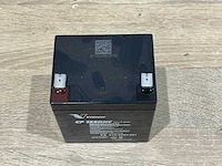 Vision cp 1250hc accu 12 volt oplaadbaar (4x) - afbeelding 5 van  6