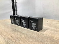 Vision cp 1250hc accu 12v oplaadbaar (4x) - afbeelding 1 van  6