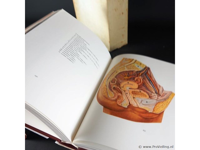 Visuele encyclopedie - afbeelding 4 van  5