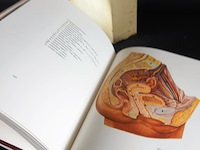 Visuele encyclopedie - afbeelding 4 van  5