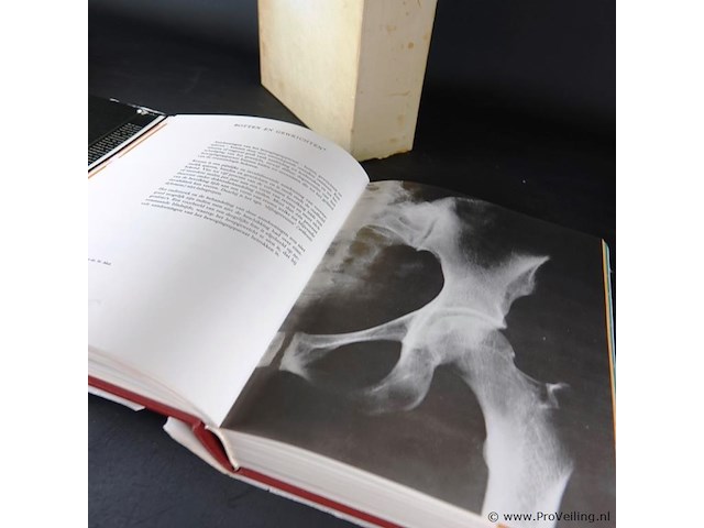 Visuele encyclopedie - afbeelding 5 van  5