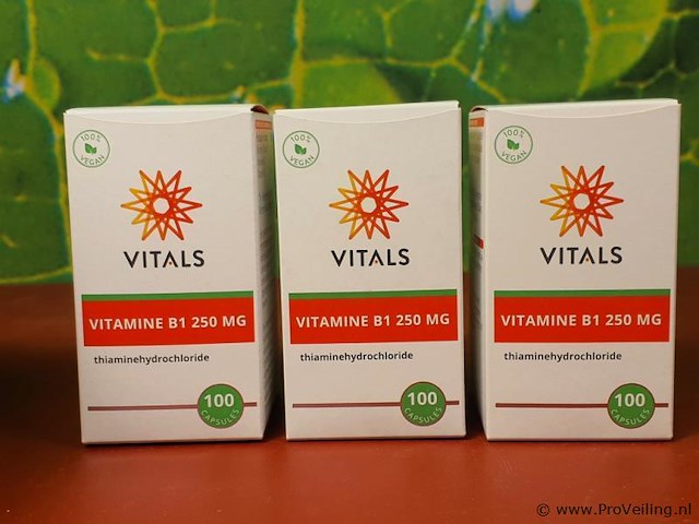 Vitals vitamine b1 supplement - 3 potjes á 100 capsules - afbeelding 1 van  5