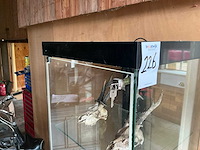 Vitrine - afbeelding 1 van  1