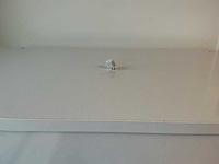 Vitrinekast - 39x80x173 cm - afbeelding 4 van  8