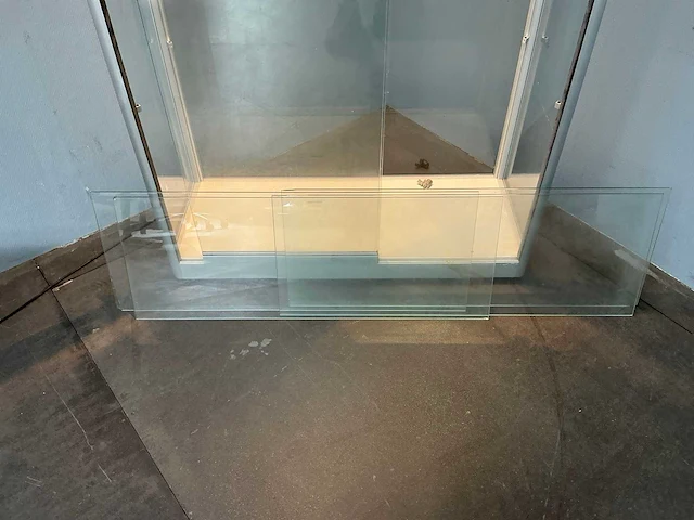 Vitrinekast 40x100x200 cm - afbeelding 7 van  12