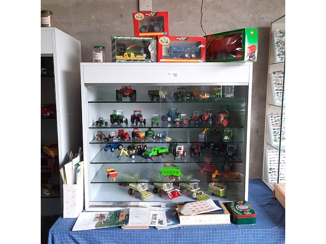 Vitrinekast met miniaturen - afbeelding 1 van  13